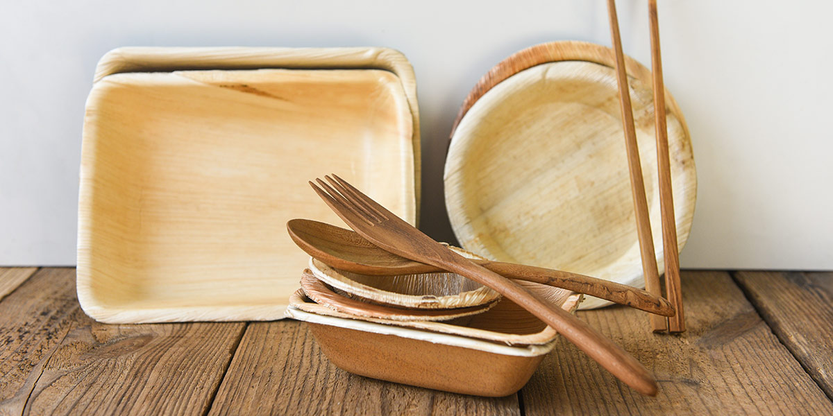 Bamboo and Melamine Dinnerware